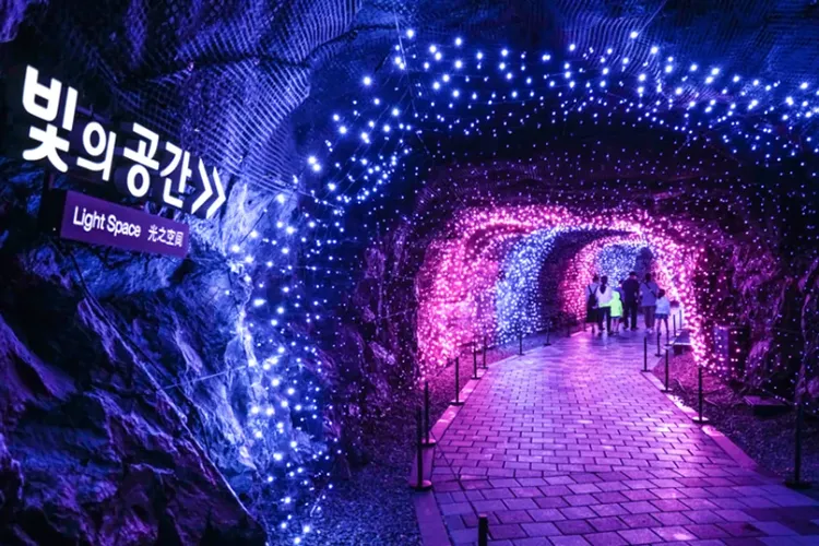 行程簡介-overview