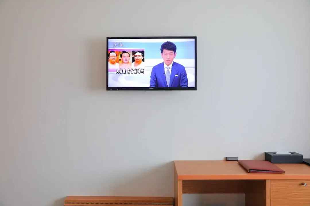 Television