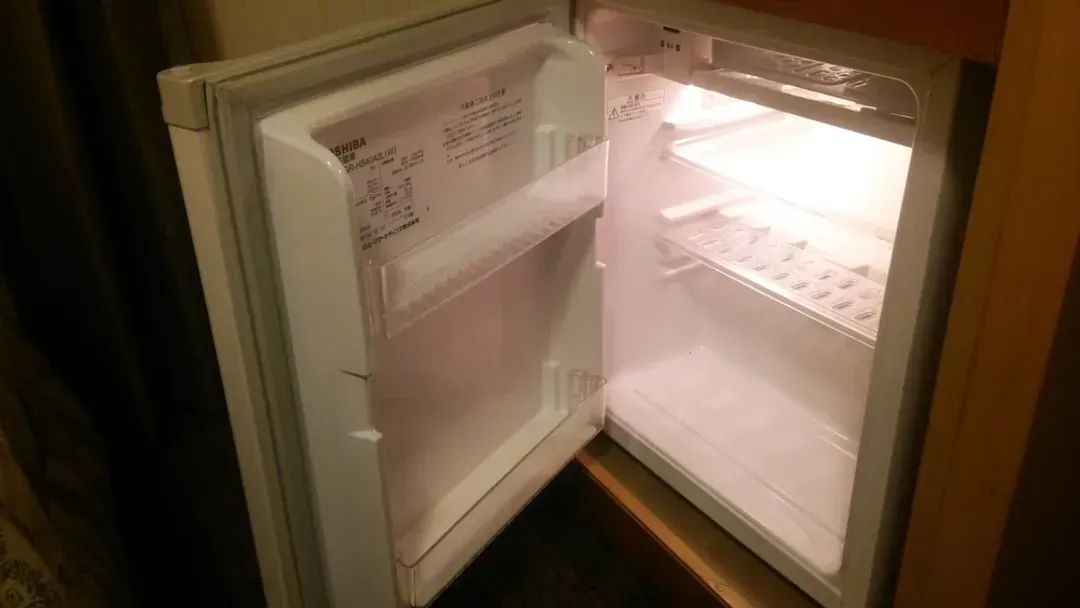 Mini-refrigerator