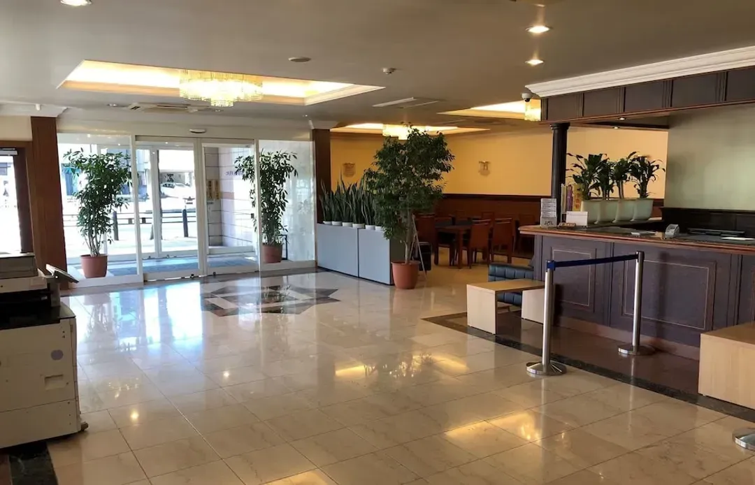 大分縣-天然溫泉 阿里斯頓飯店大分