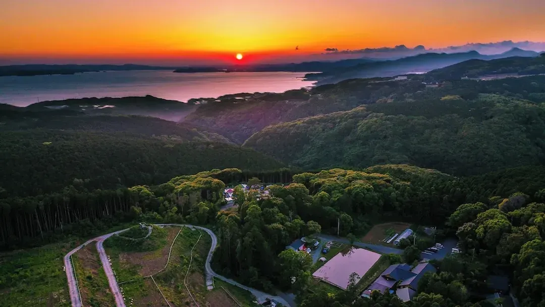 Nagasaki-ken-Tsuwabuki-no-Hana
