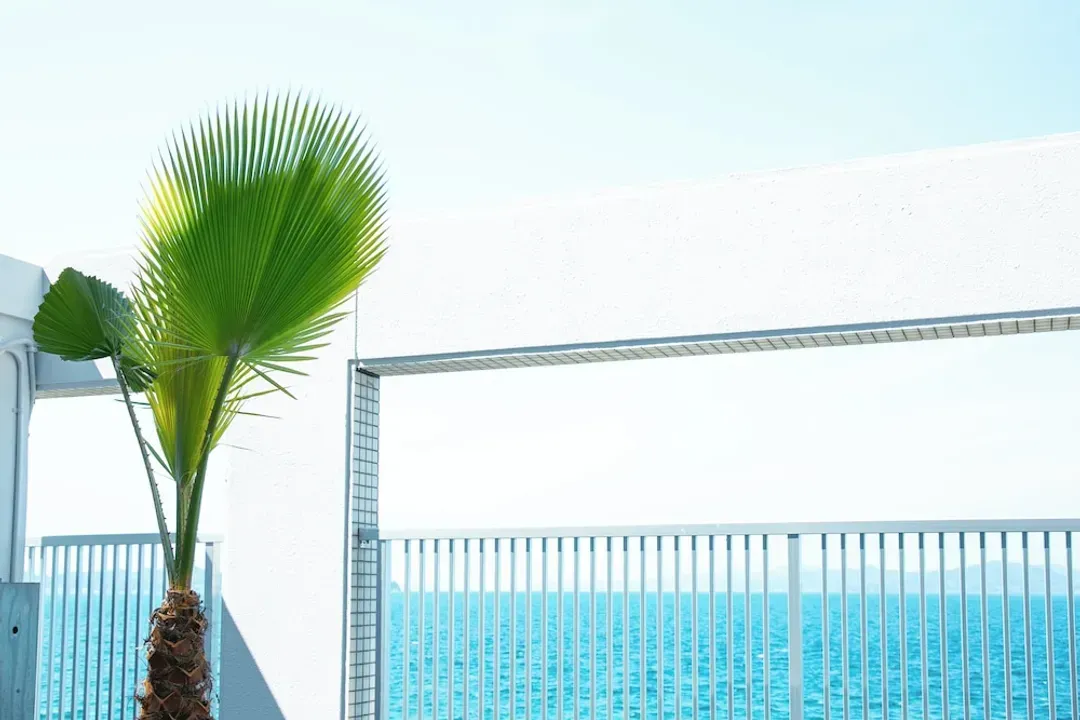 Beach/ocean view