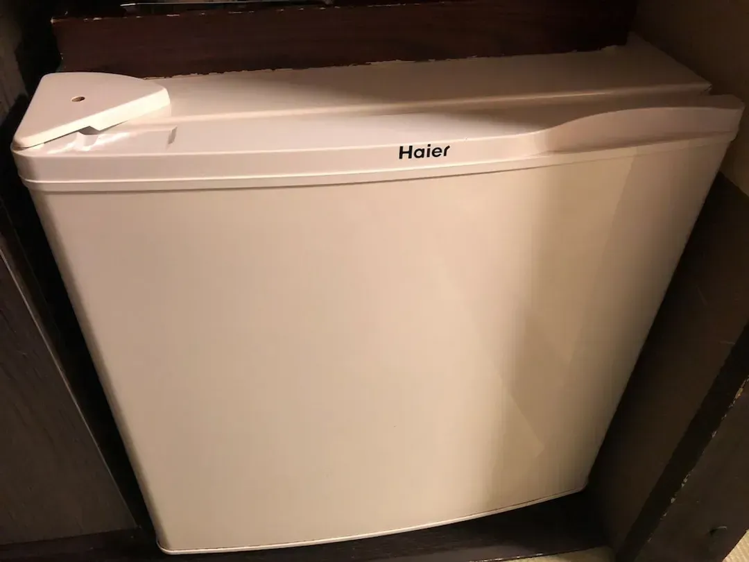 Mini-refrigerator