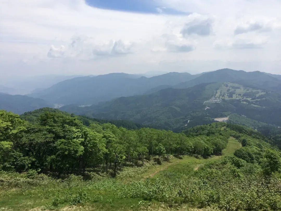 Hiking
