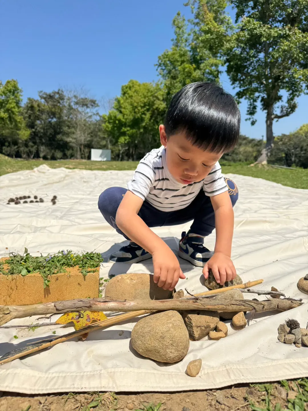 不定期體驗活動
