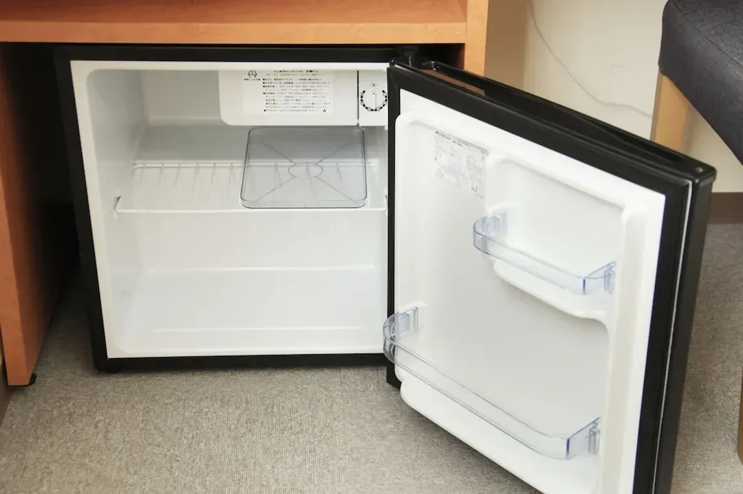 Mini-refrigerator