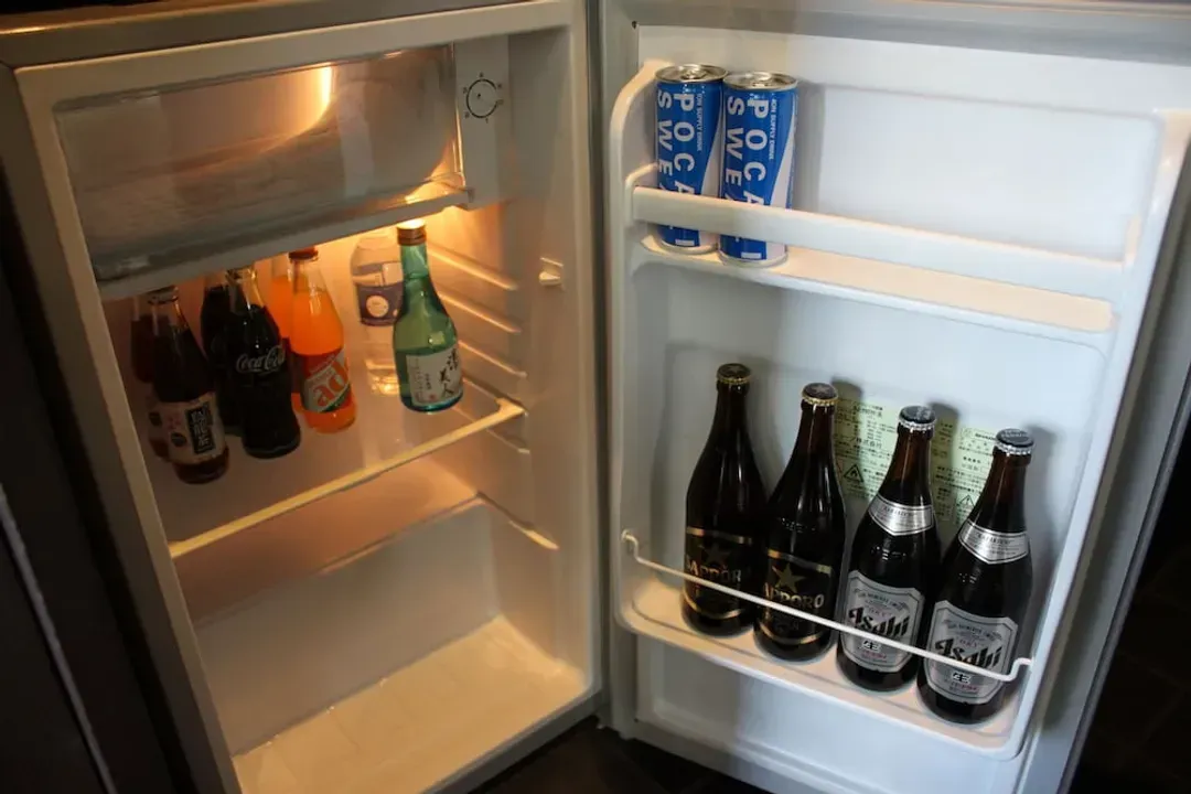 Mini-refrigerator