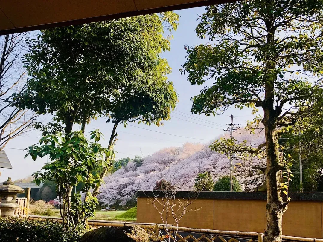 View from room