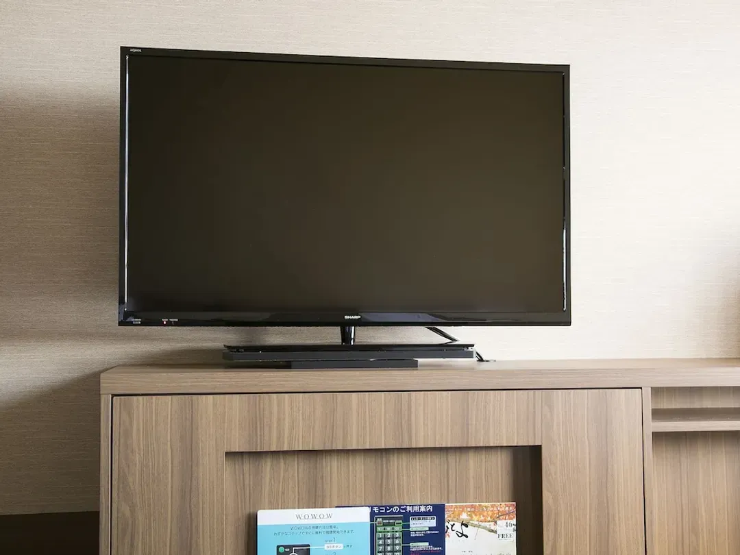 Television
