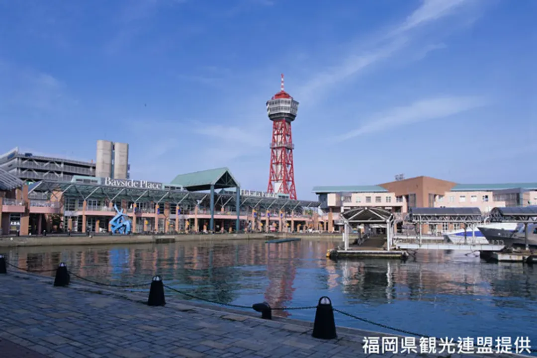 undefined-4