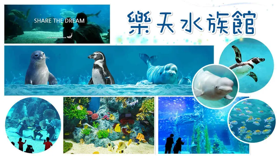 undefined-4