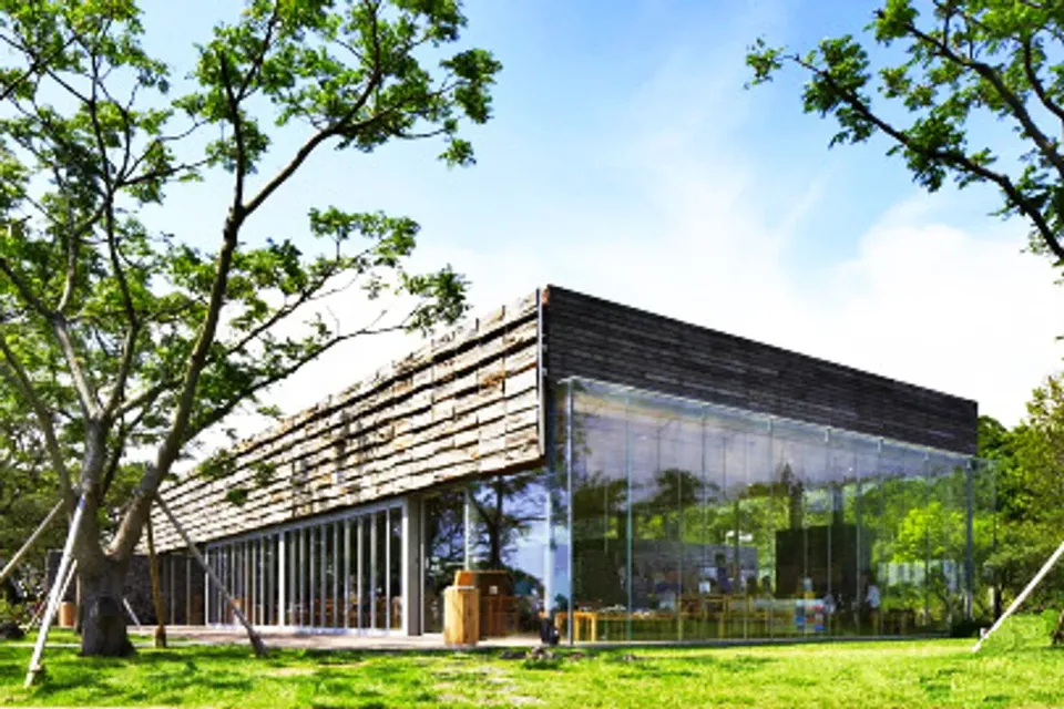 濟州島跟團行程推薦，雪綠茶博物館 