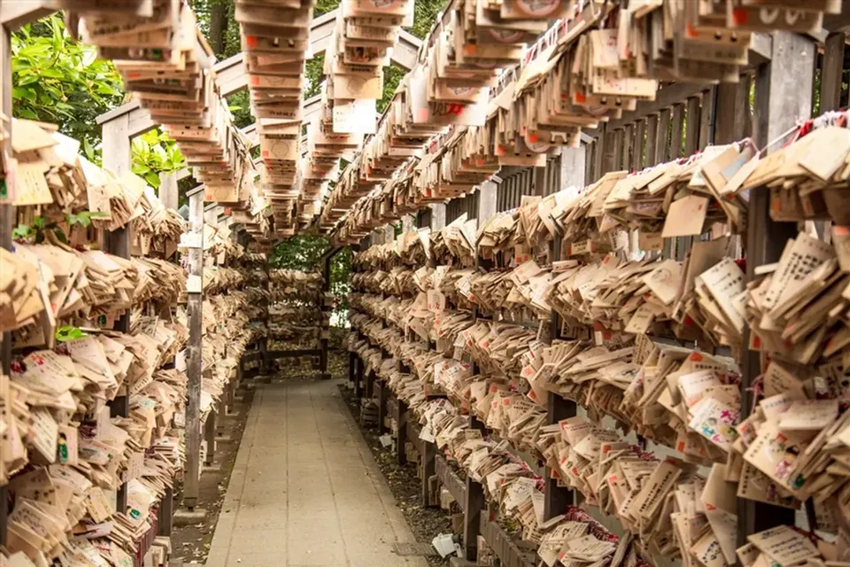 【東京旅遊】台灣虎航、豐洲千客萬來、小江戶川越～冰川神社、明治神宮、原宿逛街、四日、一日自由活動、高雄來回-5