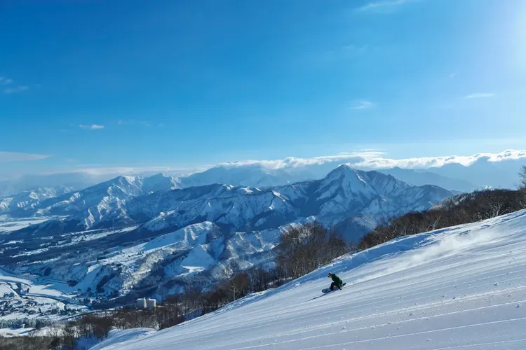 行程簡介-overview