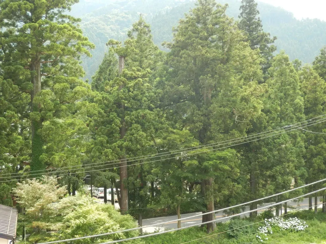 View from room