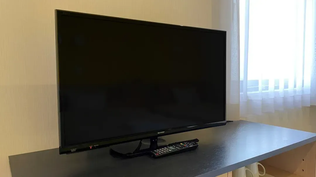 Television
