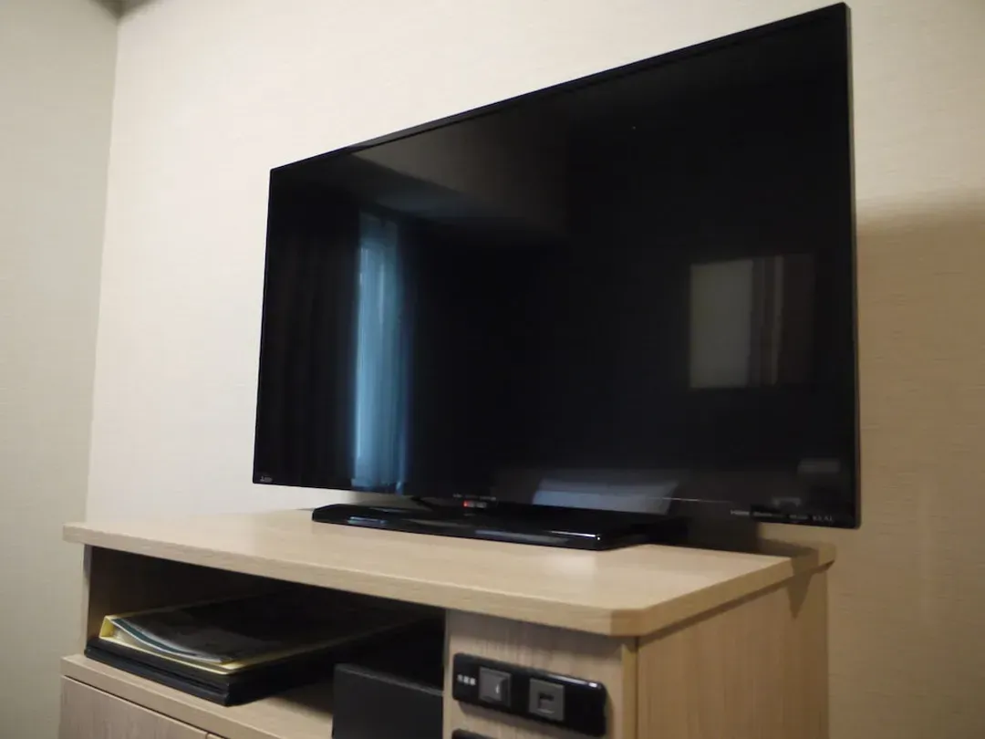 Television