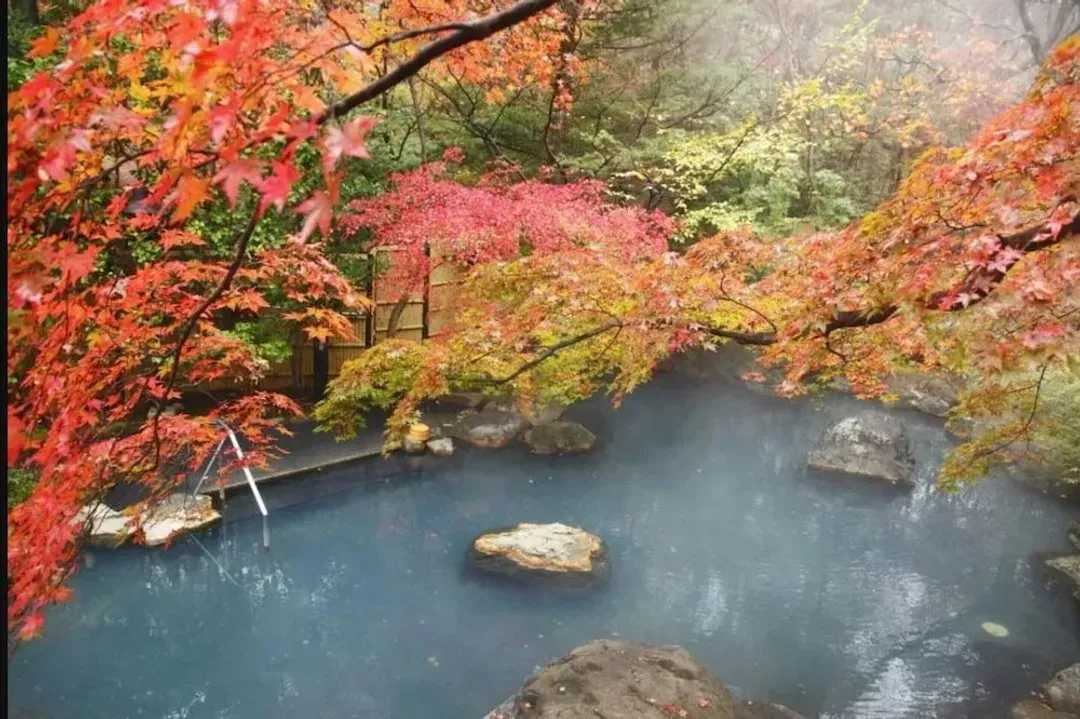 栃木縣-那須山樂日式溫泉旅館