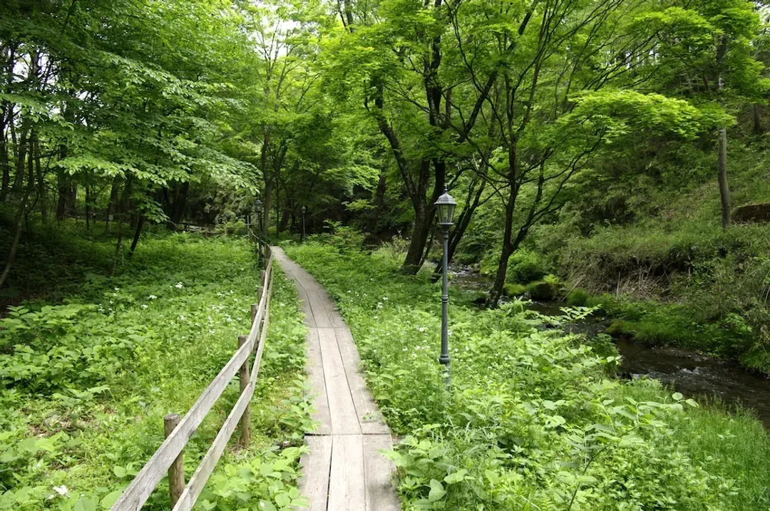 Hiking