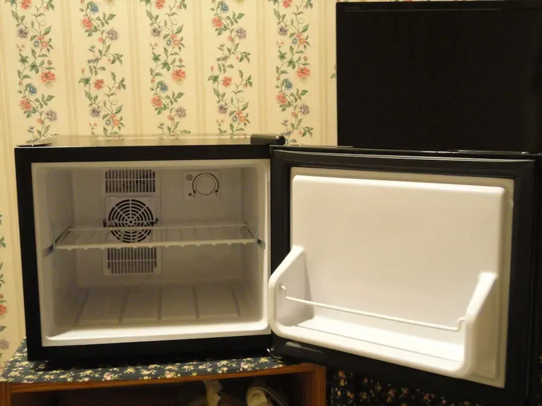 Mini-refrigerator