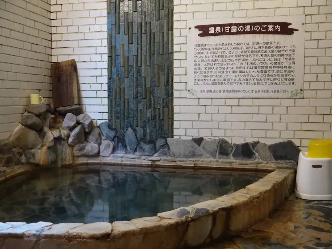 Natural pool