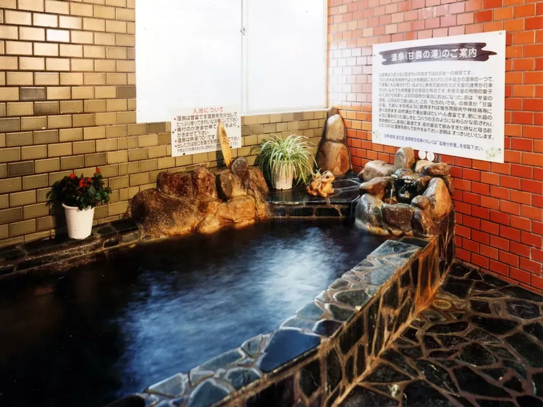 Natural pool