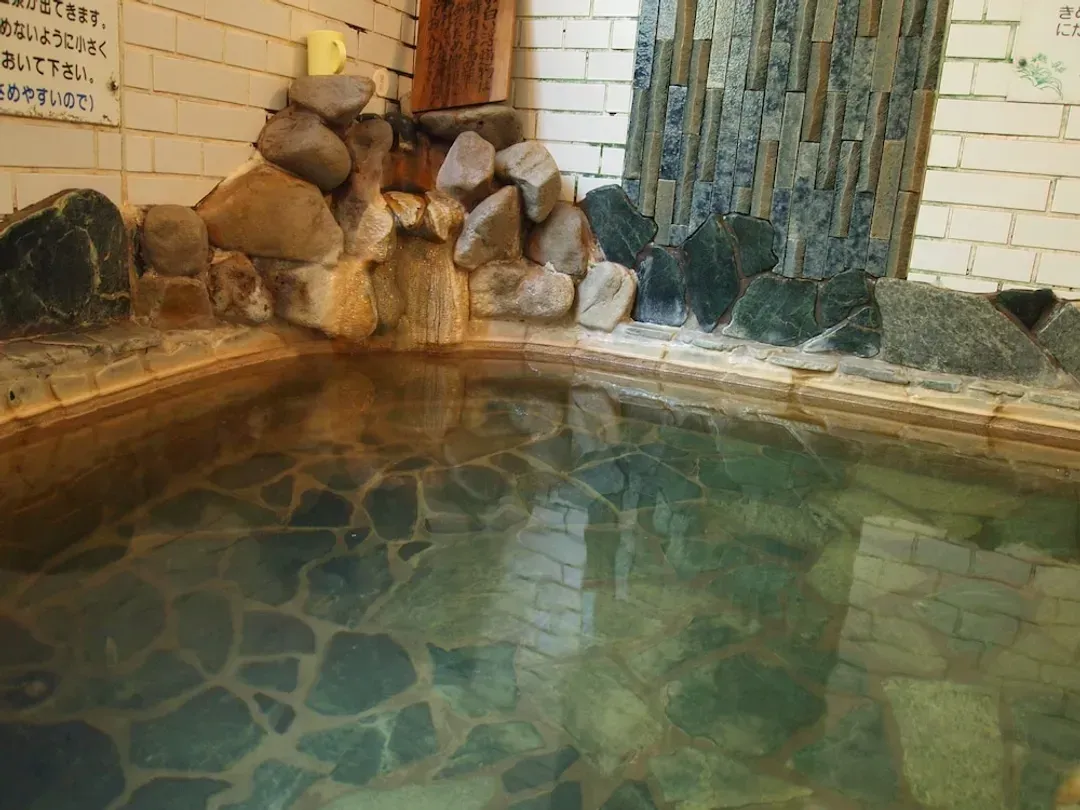 Natural pool