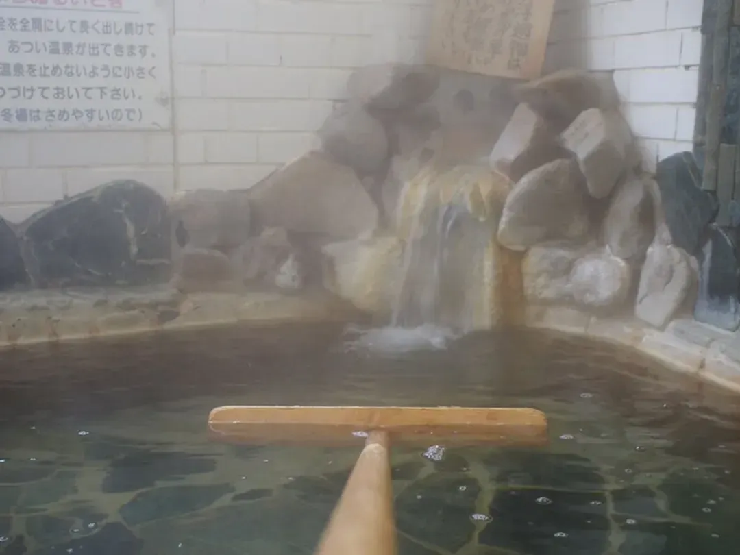 Natural pool
