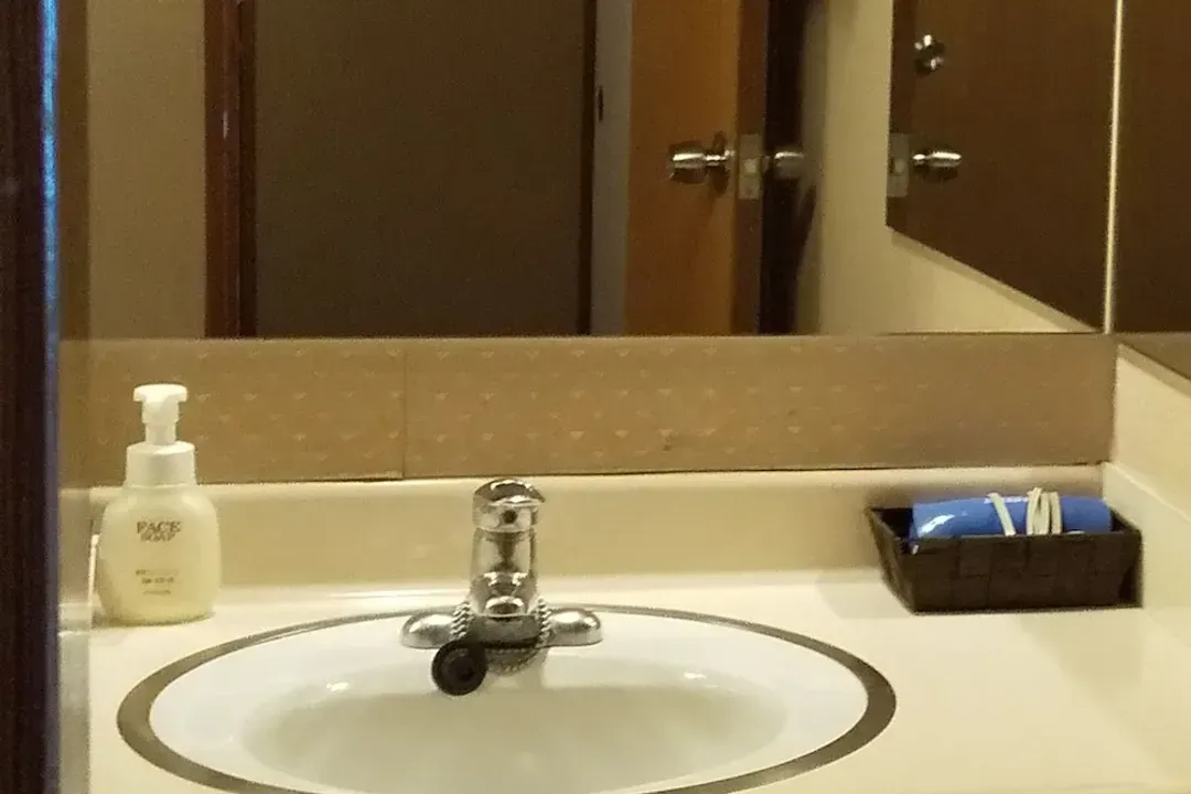 Bathroom sink