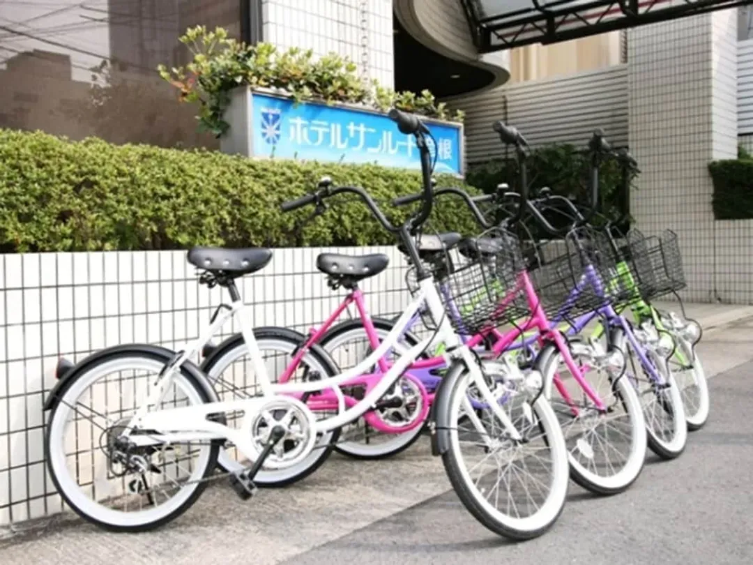 Bicycling