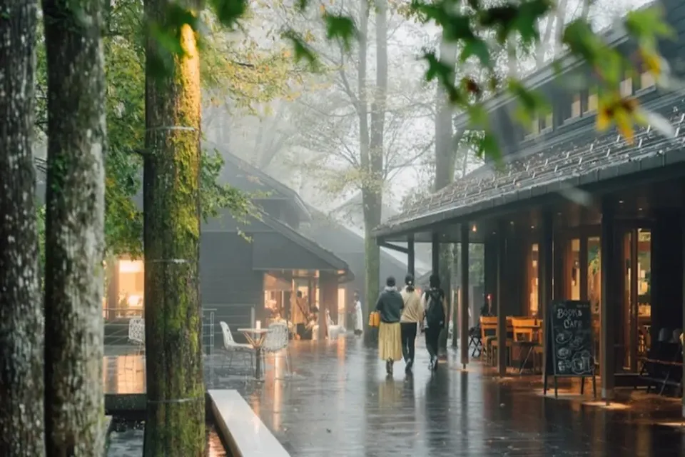 東京揪好康~星野榆樹小鎮、川越小江戶、LAVIEW列車、淺草觀音寺六日-1