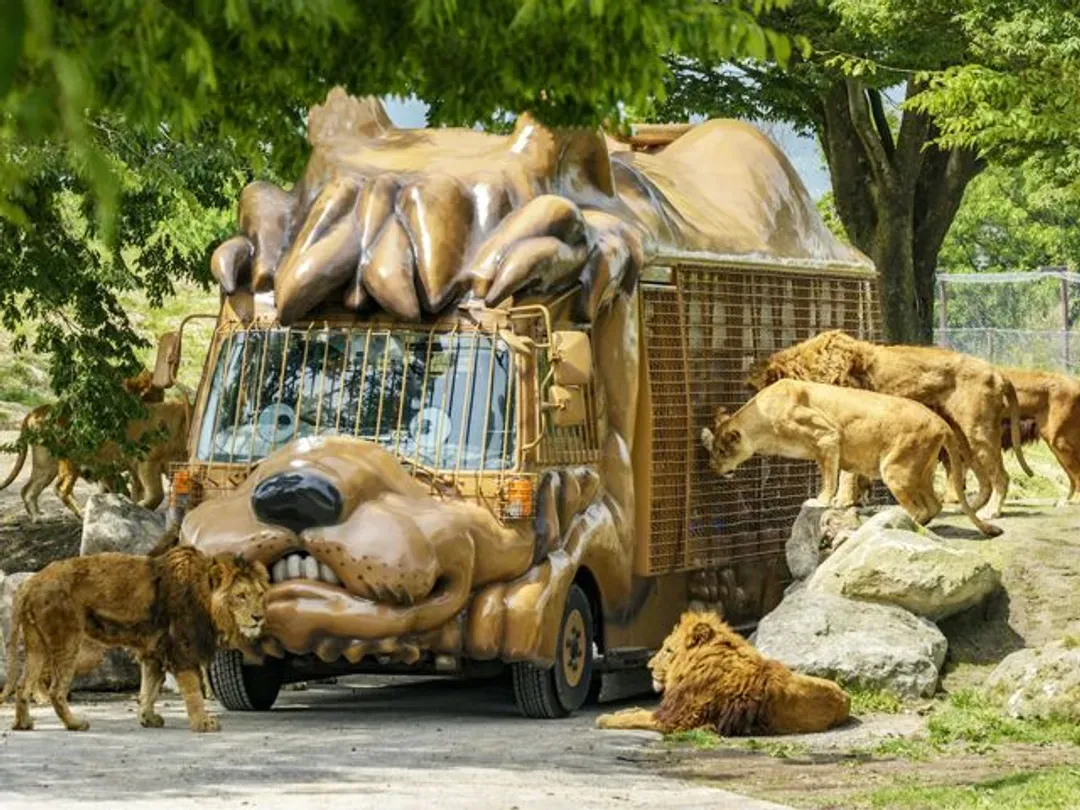 【九州大分一日遊】由布院．九州自然動物園．別府海地獄＆灶地獄｜福岡出發【已售罄】-16
