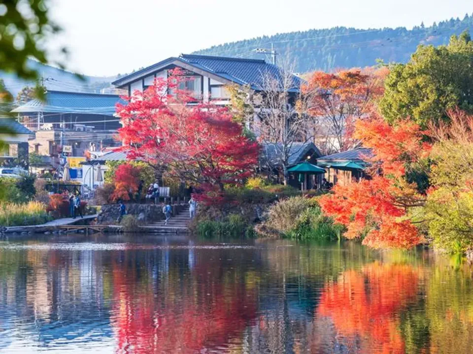 【福岡出發】九州大分一日遊-☆由布院（湯布院）☆九州自然動物園☆別府海地獄＆灶地獄《一日遊》一人起訂，保證發團！-1