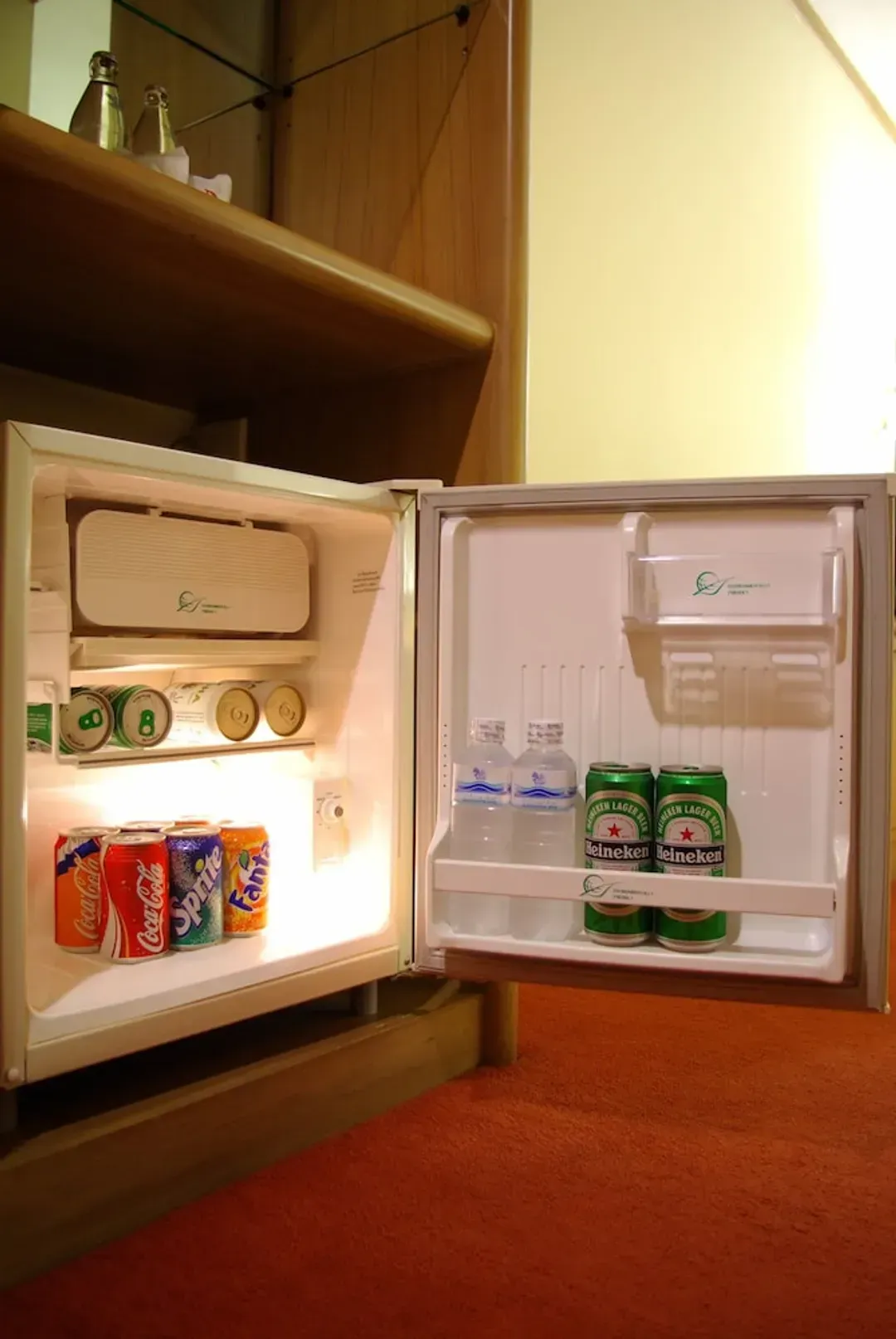 Mini-refrigerator