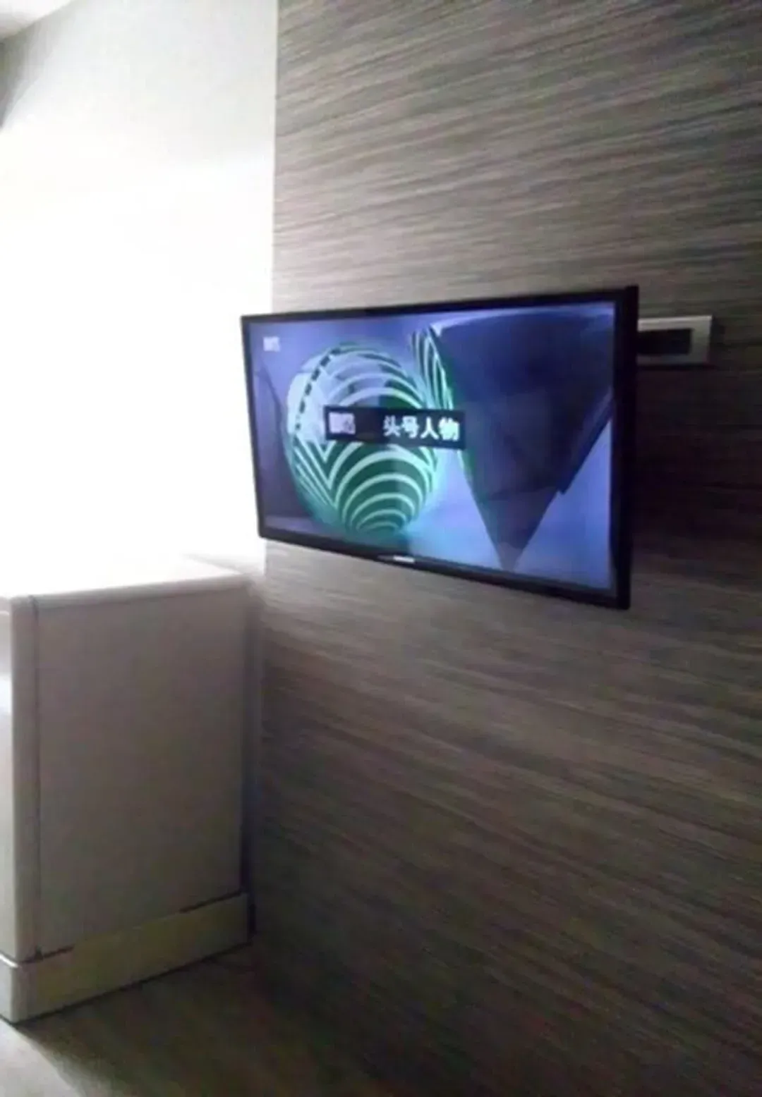 Television