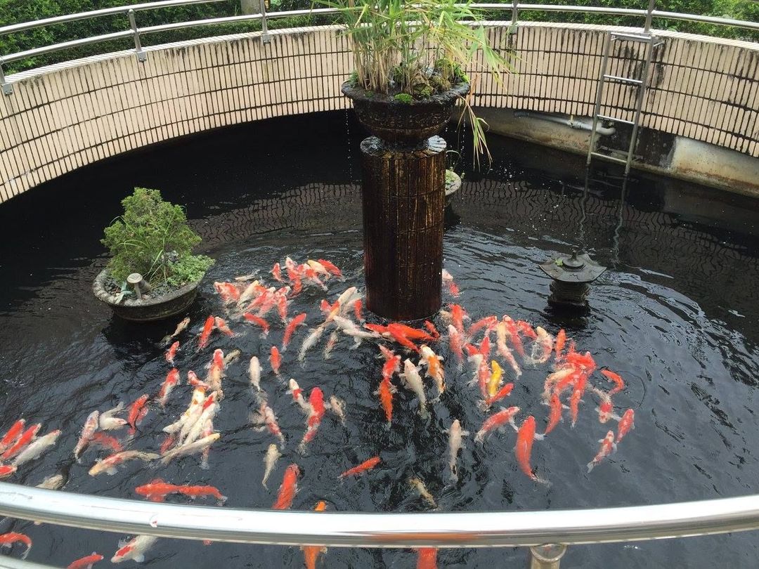 春水笈溫泉度假會館