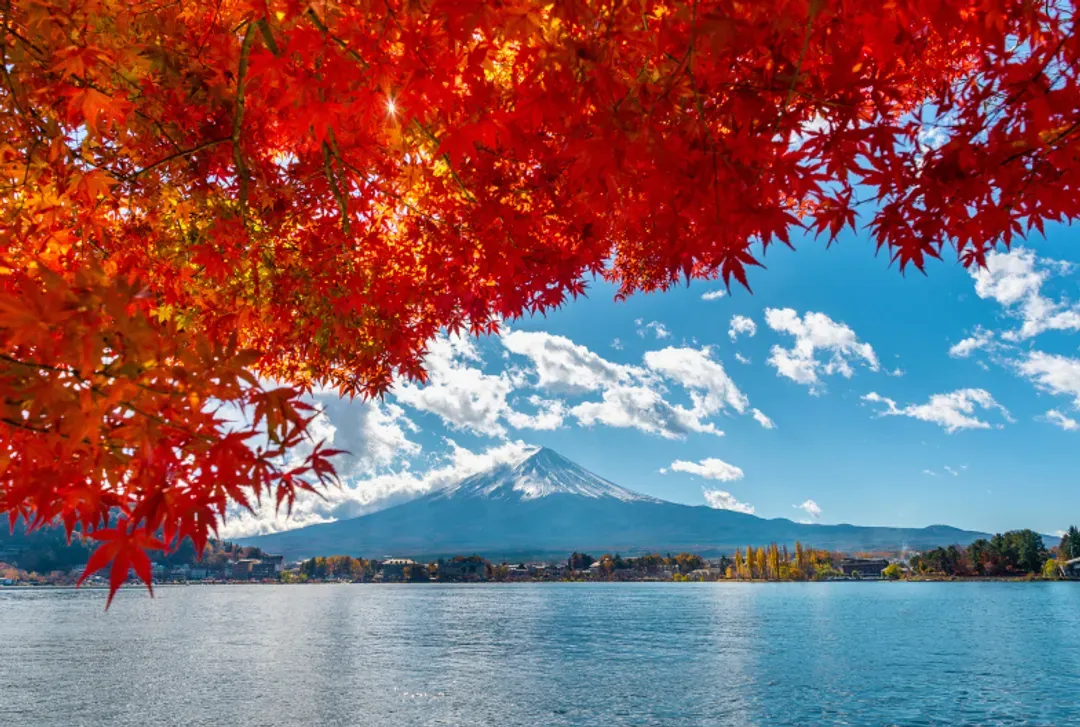 【富士山一日遊】富士山五合目・河口湖・忍野八海・御殿場OUTLETS｜中文導遊｜上野、新宿出發｜1人成行-9