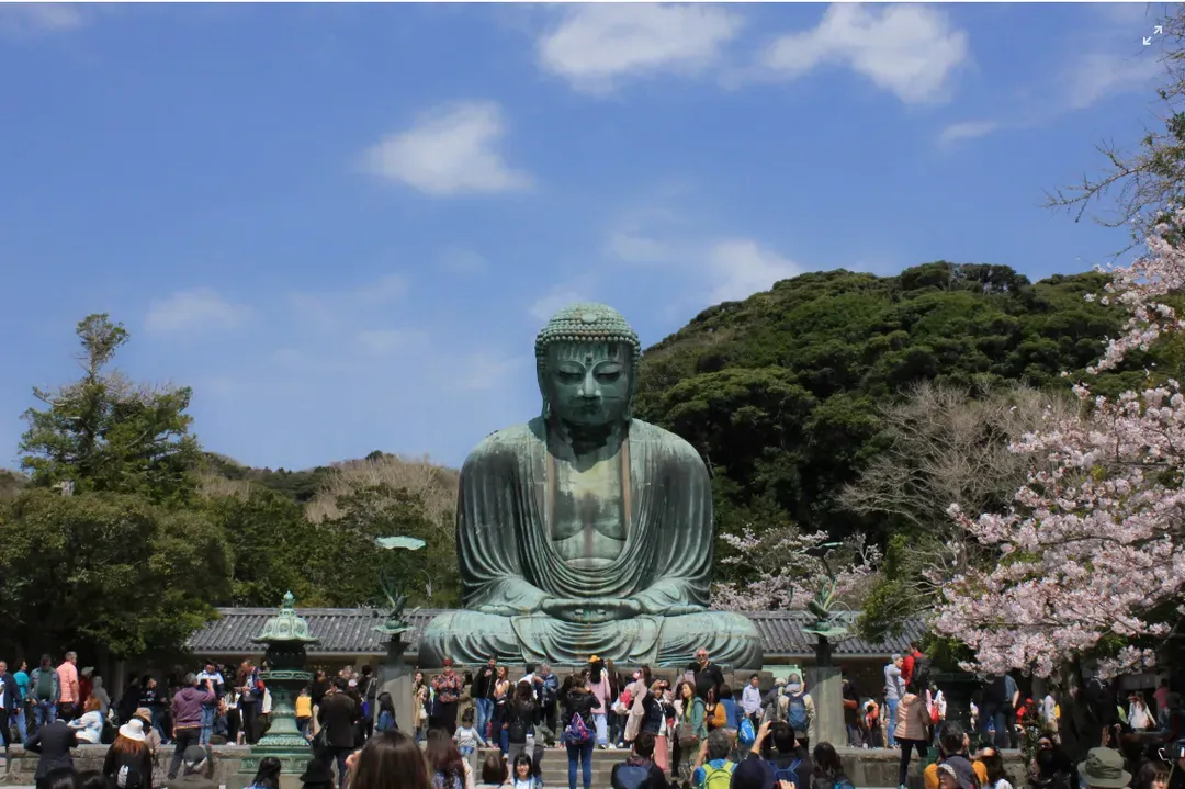 【鎌倉一日遊】江之島・鎌倉大佛・鶴岡八幡宮・小町通｜中文導遊｜池袋、新宿出發-10