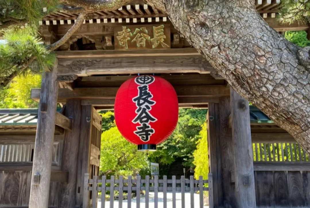 【鎌倉一日遊】江之島・鎌倉大佛・鶴岡八幡宮・小町通｜中文導遊｜池袋、新宿出發-9