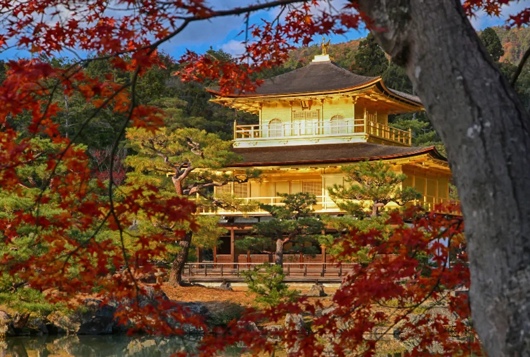【京都經典一日遊】金閣寺・嵐山・伏見稻荷大社・奈良公園｜可選擇大阪、京都出發-7