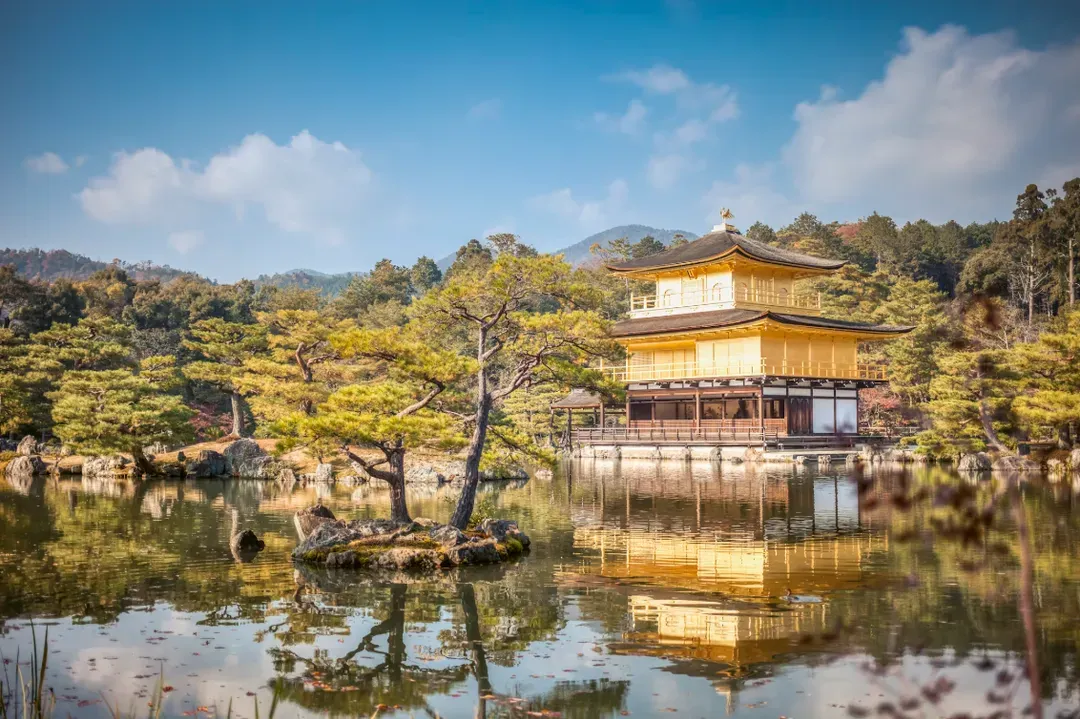【京都經典一日遊】金閣寺・嵐山・伏見稻荷大社・奈良公園｜可選擇大阪、京都出發-11
