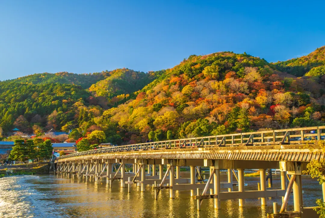 【京都經典一日遊】金閣寺・嵐山・伏見稻荷大社・奈良公園｜可選擇大阪、京都出發-9