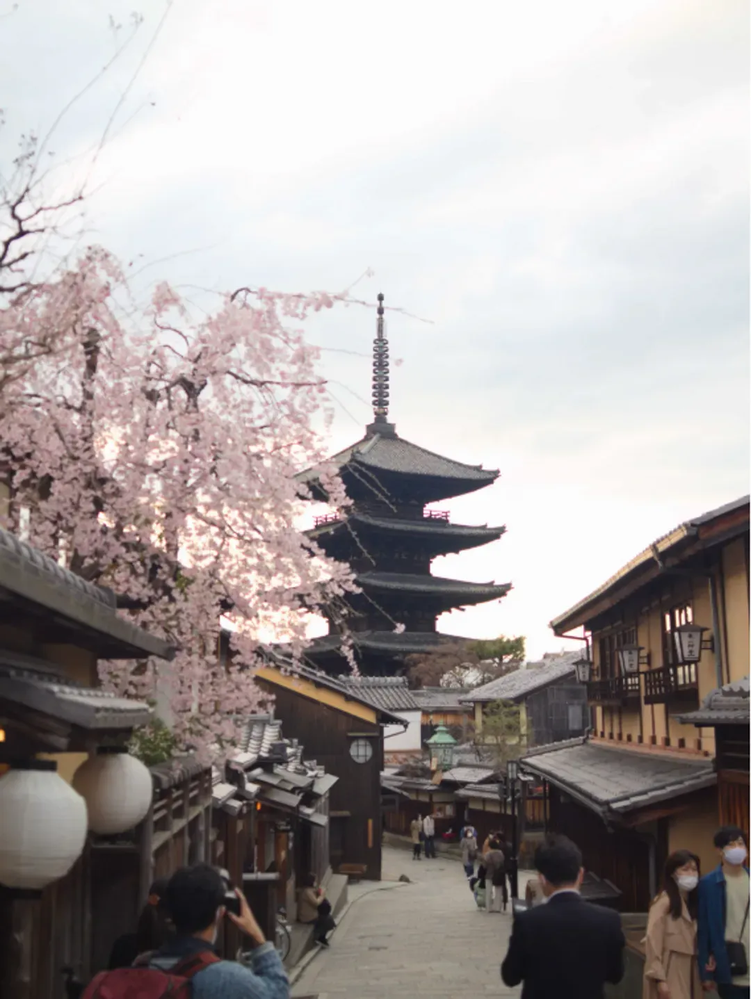 【京都一日遊】清水寺・金閣寺・嵐山・三十三間堂｜中文導遊｜可選擇大阪、京都出發-5