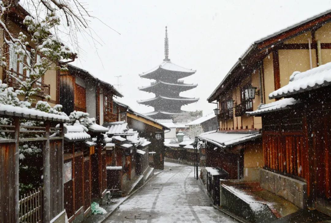 【京都一日遊】清水寺・金閣寺・嵐山・三十三間堂｜中文導遊｜可選擇大阪、京都出發-8