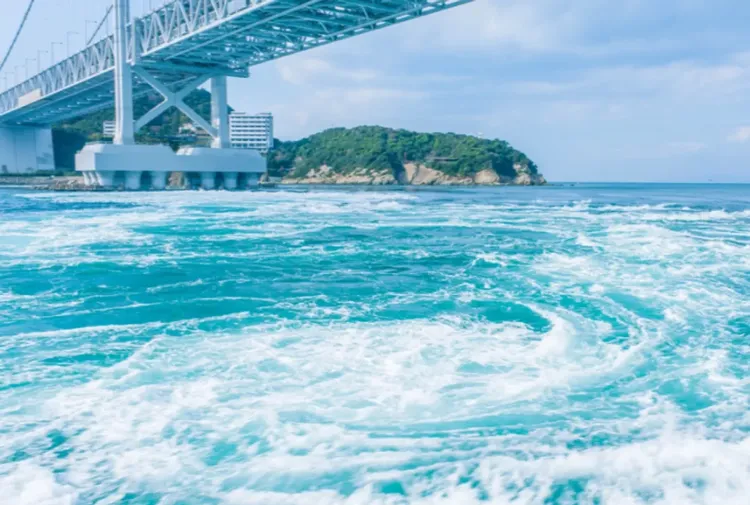 行程簡介-overview