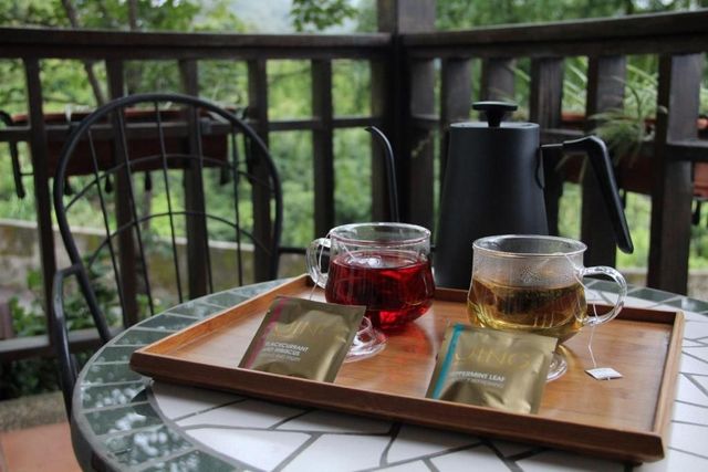 見晴花園渡假山莊|清境最美星空帳、一泊三食、近清境農場-景觀輕奢雙人房 羽松館-8