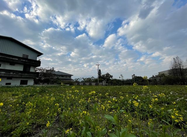 彩虹星光農園露營區|冬季採果體驗、唯美落羽松步道、親子草地營位-【自搭帳】草皮區 5Mx8M-4