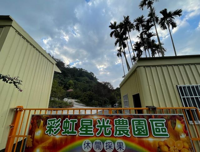 彩虹星光農園露營區|冬季採果體驗、唯美落羽松步道、親子草地營位-【自搭帳】果園區 5Mx8M-5