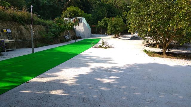 彩虹星光農園露營區|冬季採果體驗、唯美落羽松步道、親子草地營位-【自搭帳】果園區 5Mx8M-3