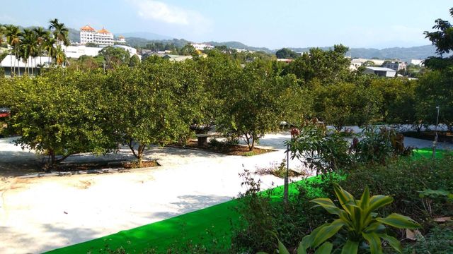 彩虹星光農園露營區|冬季採果體驗、唯美落羽松步道、親子草地營位-【自搭帳】果園區 5Mx8M-2